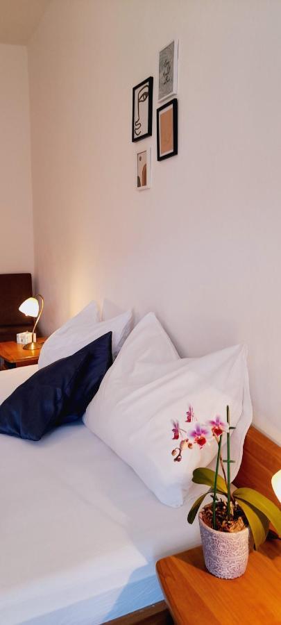 Pansion Ivan & Ivana Bol Ngoại thất bức ảnh